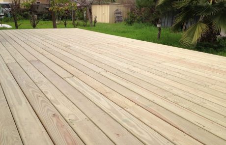 משטח דק אורן מסוג אורן קרוליינה