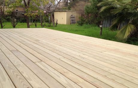 משטח דק אורן מסוג אורן קרוליינה