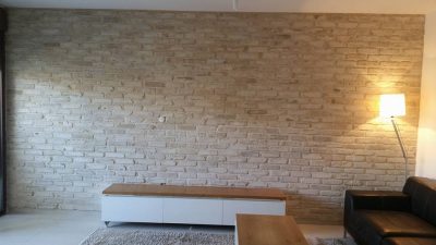 בריקים לבנים לבית