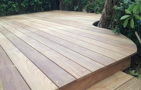 דק קמרו בגינה בדניה חיפה