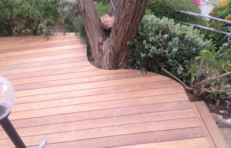 דק קמרו בגינה בדניה חיפה