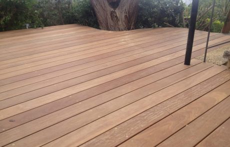 דק קמרו בגינה בדניה חיפה