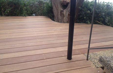 דק קמרו בגינה בדניה חיפה