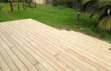 משטח דק אורן מסוג אורן קרוליינה