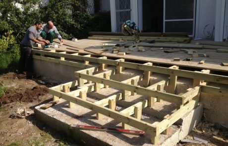 משטח דק אורן מסוג אורן קרוליינה