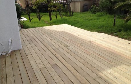 משטח דק אורן מסוג אורן קרוליינה