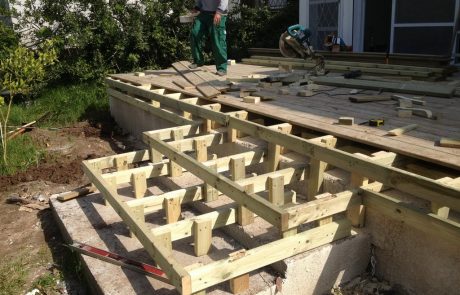 משטח דק אורן מסוג אורן קרוליינה